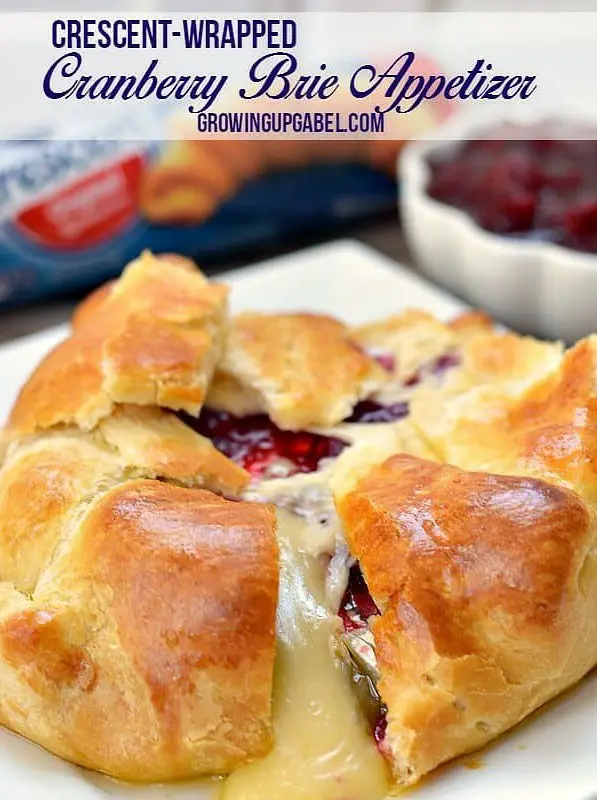 Cranberry and Brie Baked Cheese Appetizer