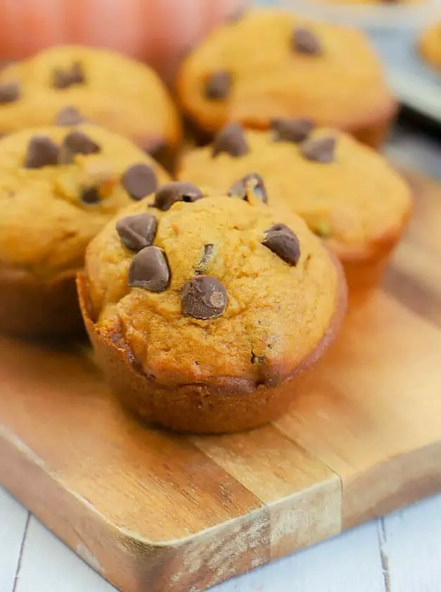 Chocolate Chip Pumpkin Muffins