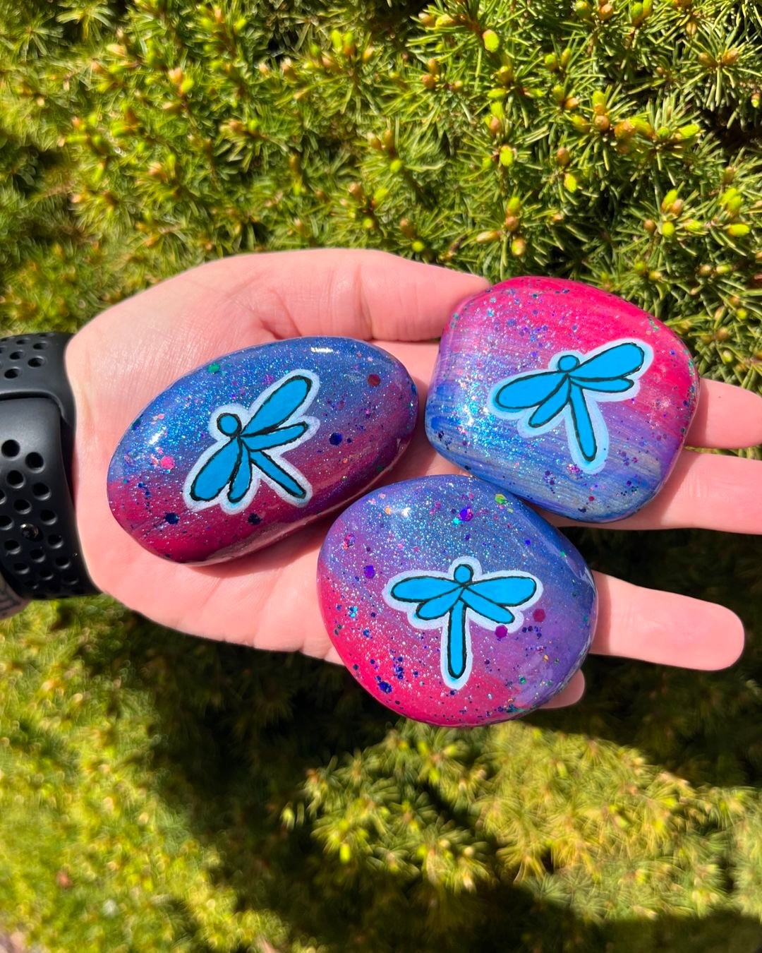 DRAGONFLY ROCKS