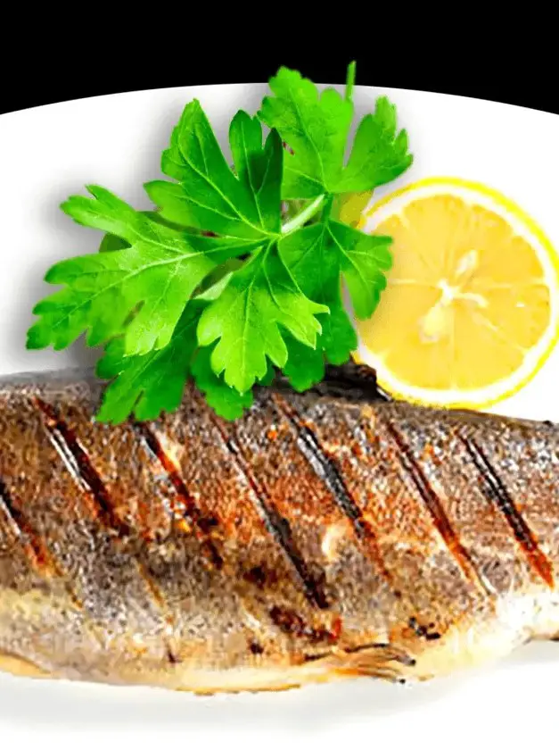 Grilled Trout