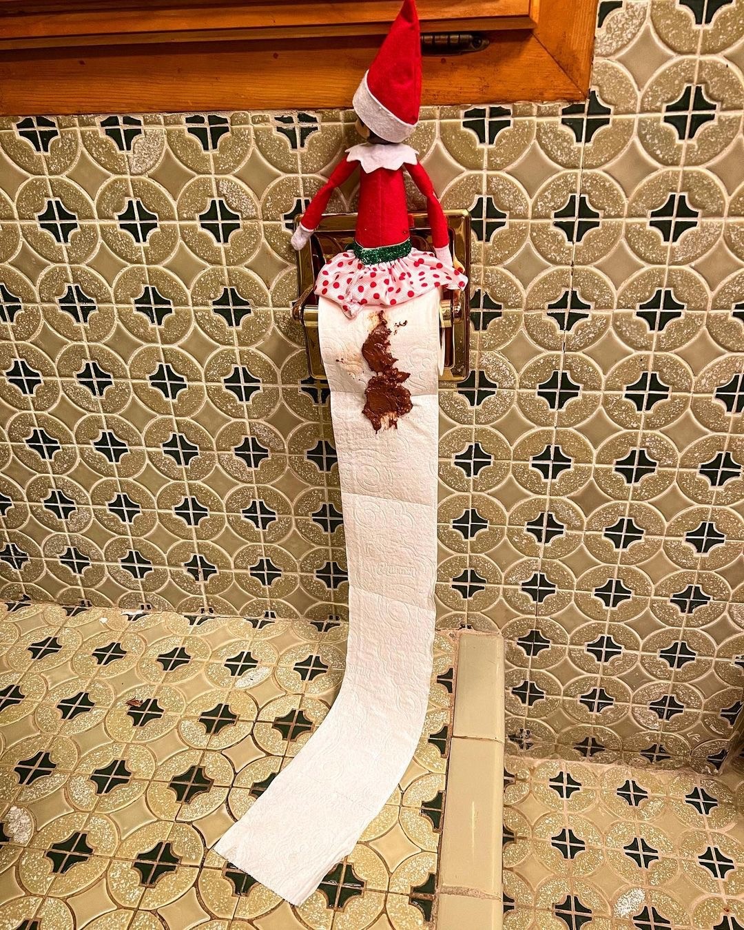 ELFIE POOPED ON THE TOILET PAPER