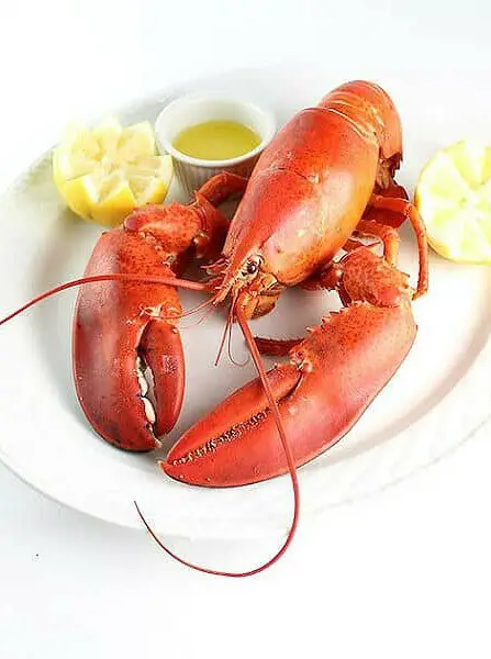 Boiled Lobster