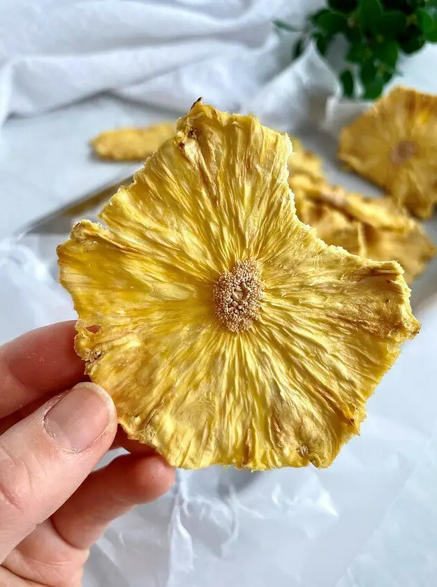 Dehydrated Pineapple Discs