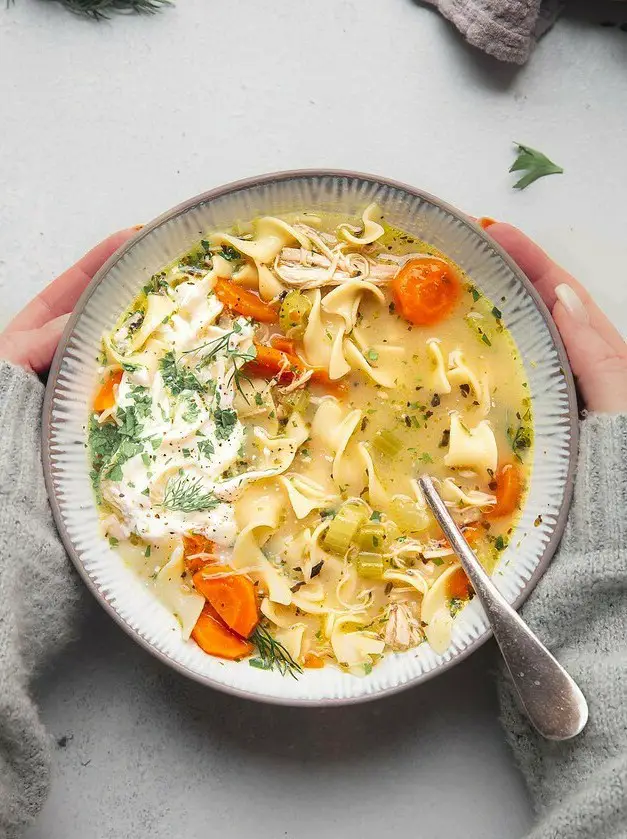 Instant Pot Chicken Noodle Soup