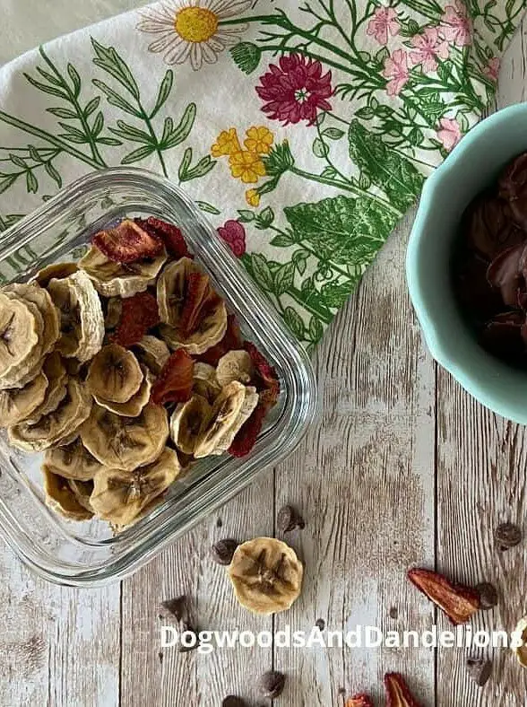 Chocolate Covered Dehydrated Fruit