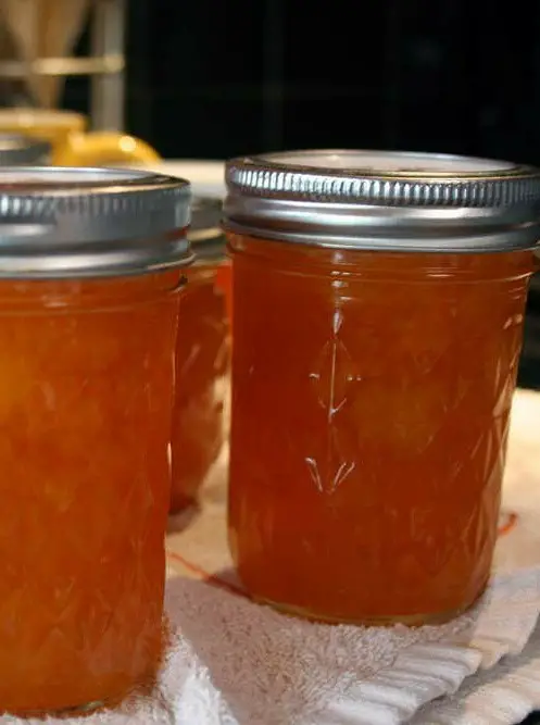 Low Sugar Orange Marmalade