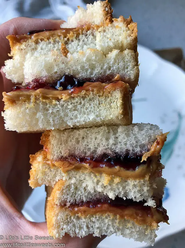 Peanut Butter and Jelly Sandwich