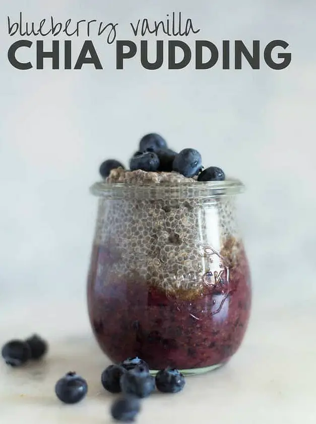 Blueberry Vanilla Chia Pudding