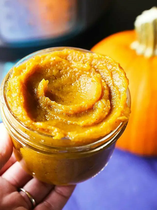 Instant Pot Pumpkin Puree