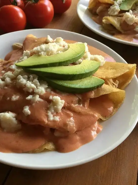 Creamy Tomato Enchiladas