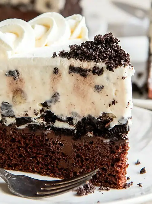 Homemade Ice Cream Cake