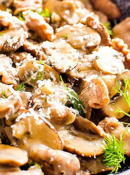 Healthy Mushroom Stroganoff