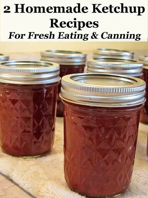 Homemade Tomato Ketchup