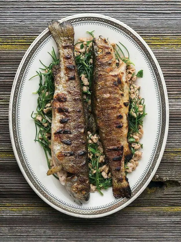 Grilled Trout or Kokanee