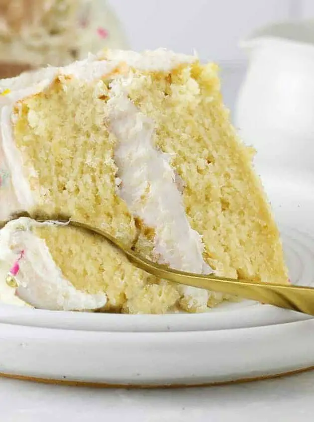 Fluffy Vanilla Vegan Cake