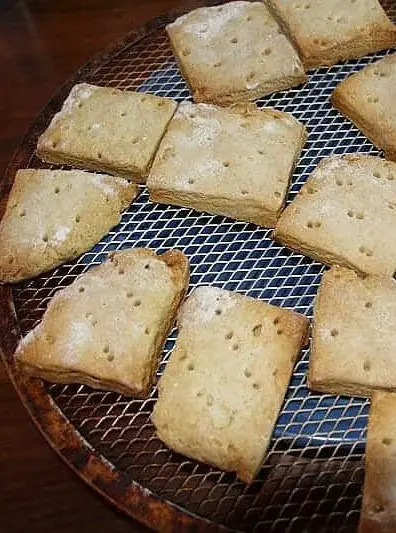 Modern Hardtack