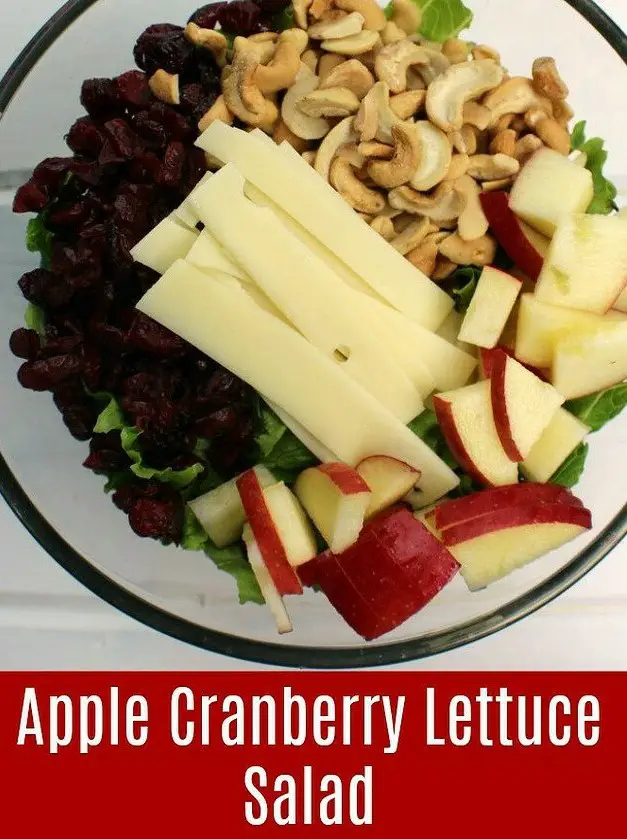 Apple Cranberry Lettuce Salad