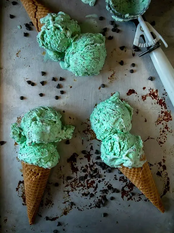 Homemade Mint Chocolate Chip Ice Cream