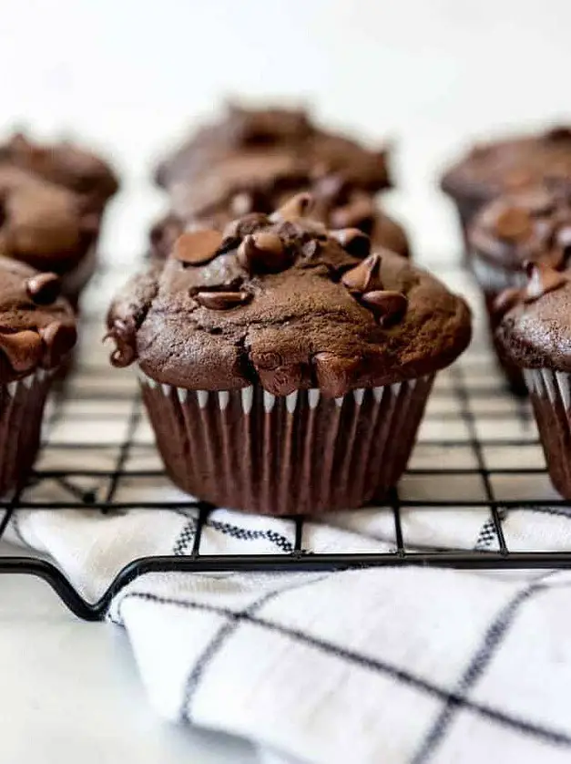 Double Chocolate Muffins