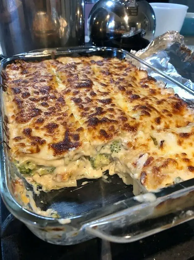 Chicken and Broccoli Lasagna