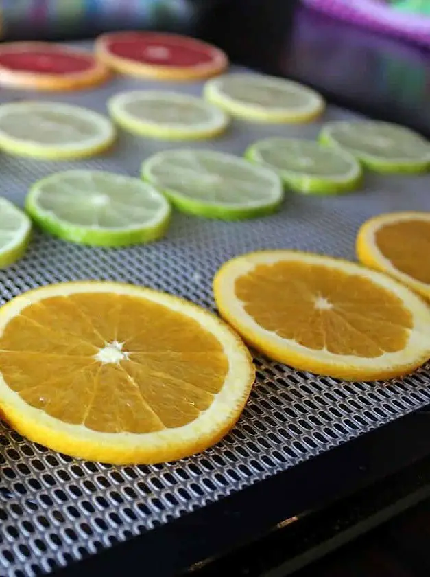 Dehydrated Citrus