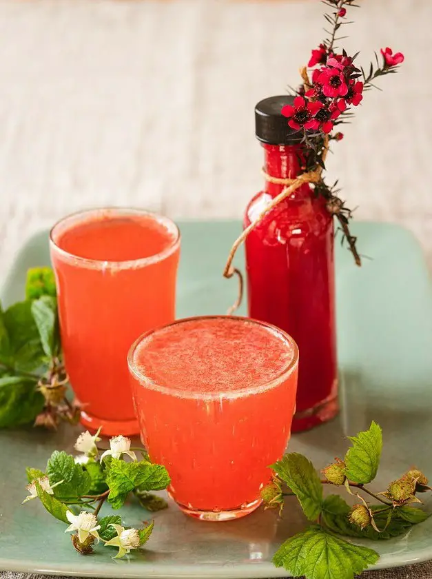 Raspberry & Rhubarb Shrub