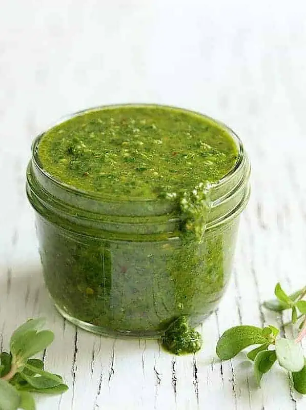 Purslane Chimichurri