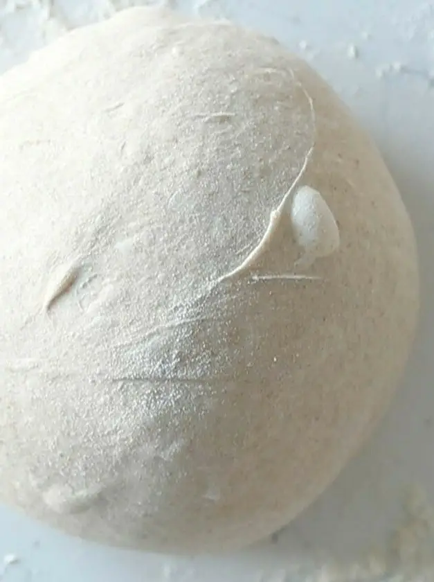 Homemade Pizza Dough