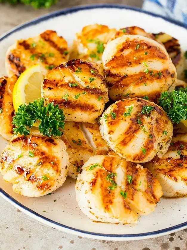 Grilled Scallops