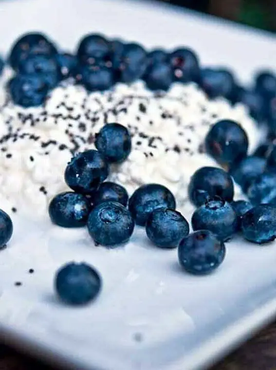 Blueberry Cottage Cheese