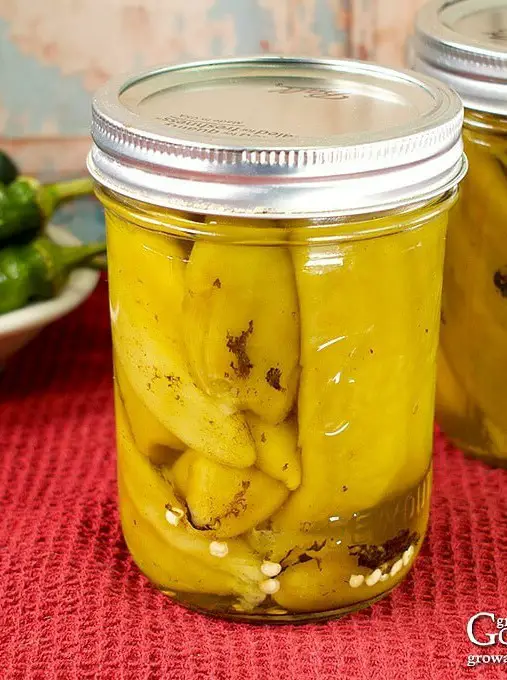 Green Chile Peppers