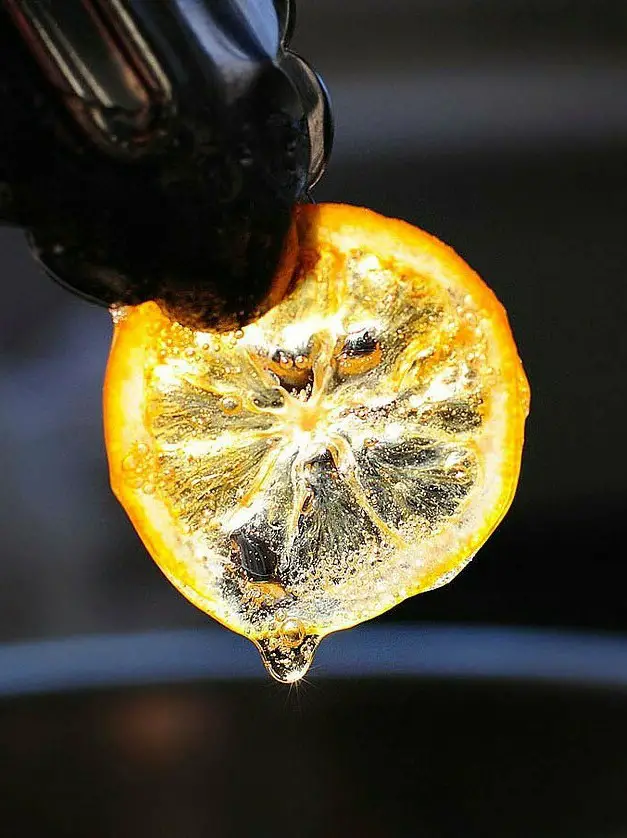 Candied Meyer Lemon