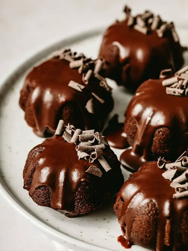 Chocolate Mini Bundt Cakes