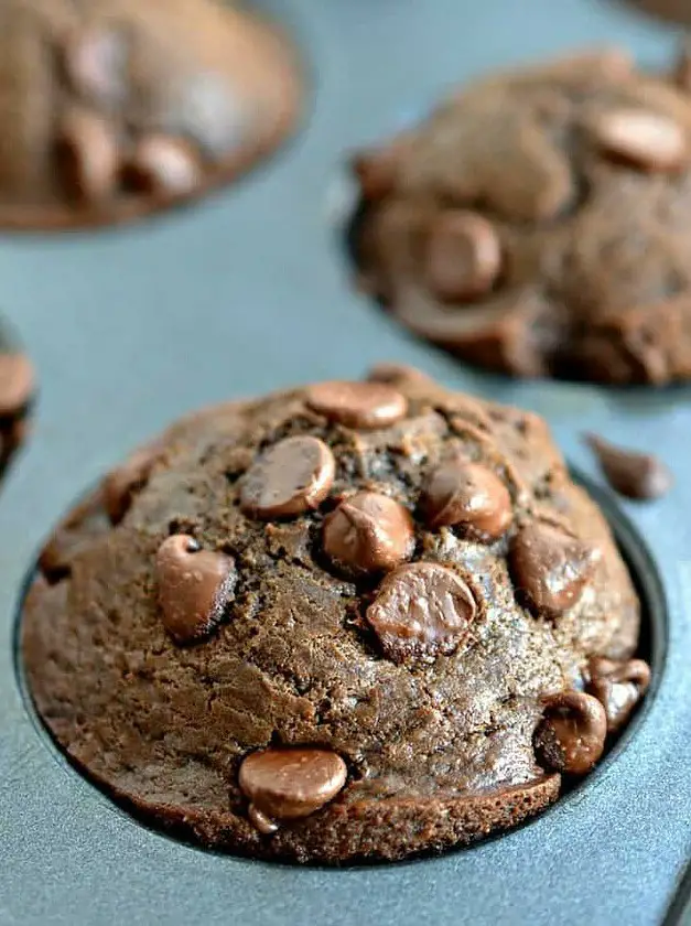 Double Chocolate Chip Muffins