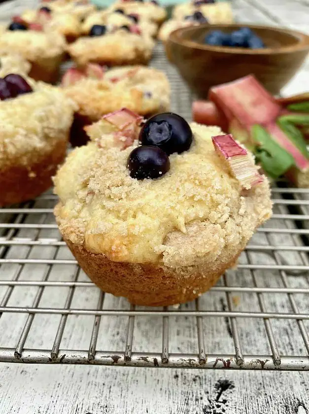 Blueberry Rhubarb Muffins