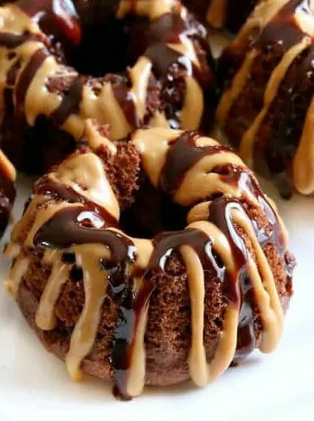 Chocolate Peanut Butter Bundt Cakes