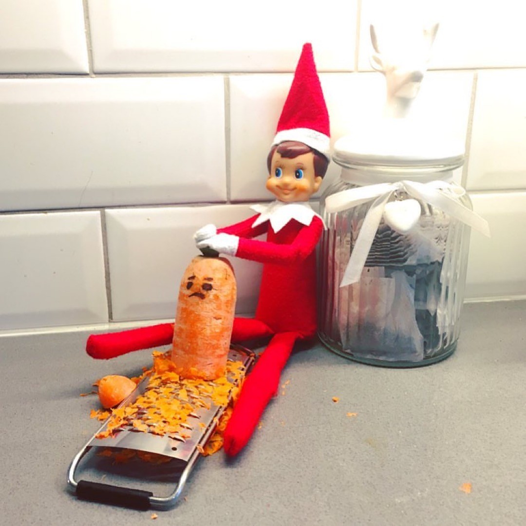 ELFIE SHREDDED MR. CARROT