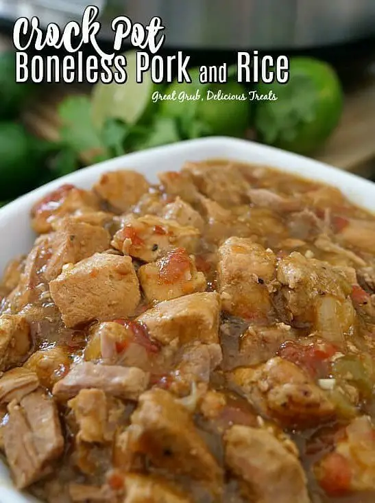 Crock Pot Boneless Pork and Rice