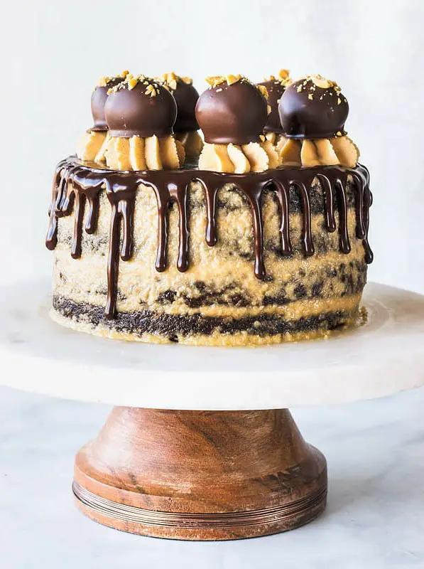 Chocolate Peanut Butter Vegan Cake