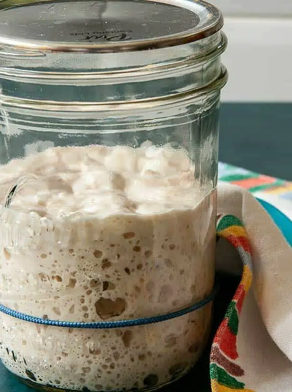 Sourdough Starter