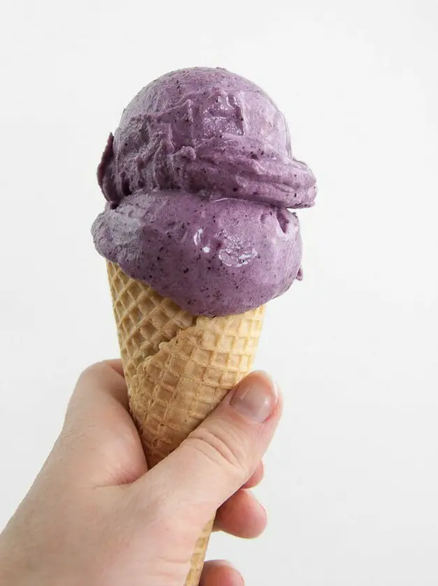 Vegan Blueberry Ice Cream