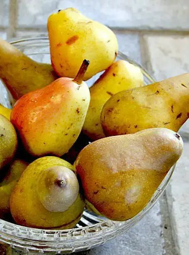 Dehydrated Pear Slices