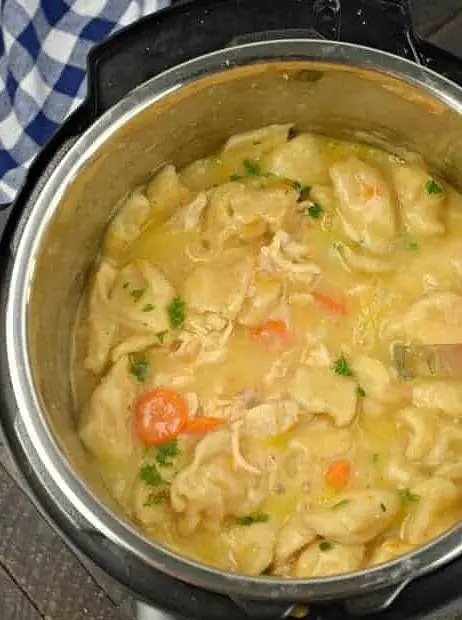 Instant Pot Chicken and Dumplings