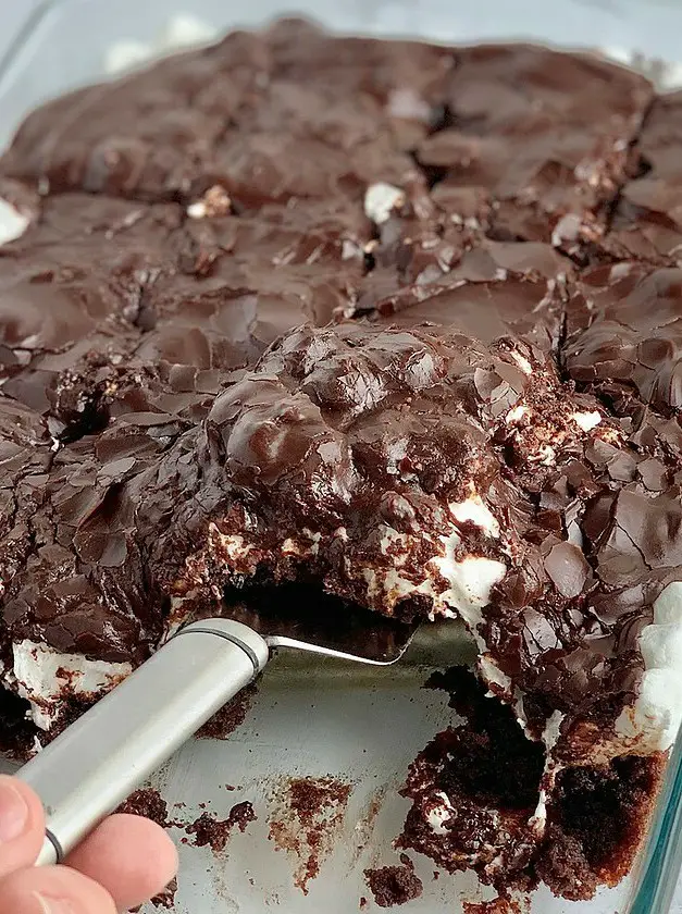 Gluten and Dairy Free Mississippi Mud Cake