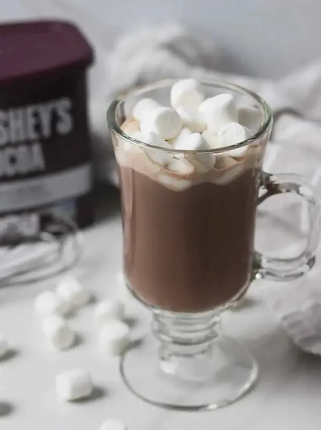 Sugar-Free Hot Chocolate