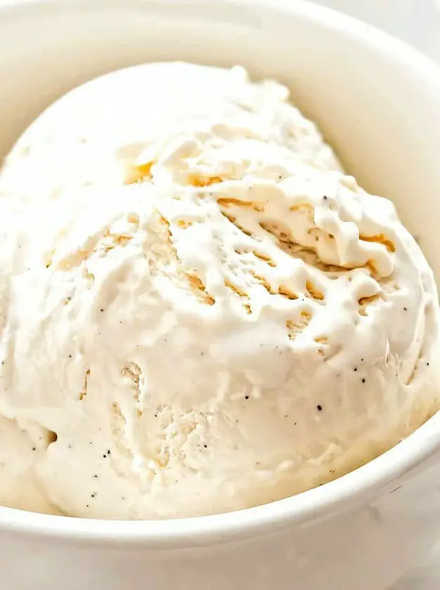 Vanilla Bean Ice Cream