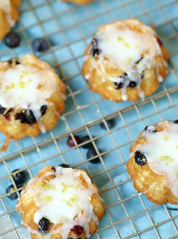 Lemon Blueberry Mini Bundt Cake