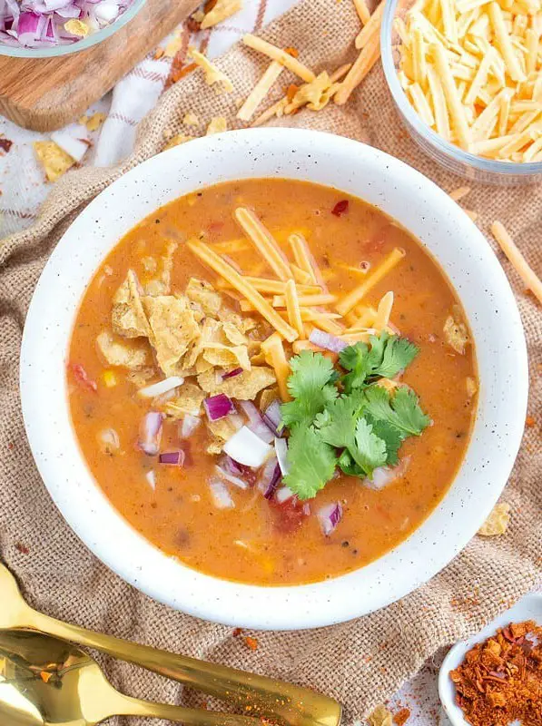 Vegan Tortilla Soup