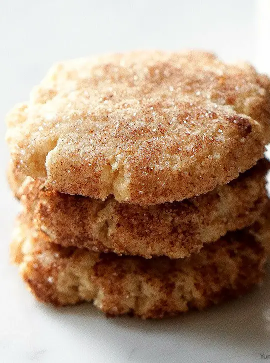 Almond Flour Snickerdoodles