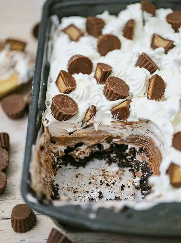 Chocolate Peanut Butter Oreo Delight